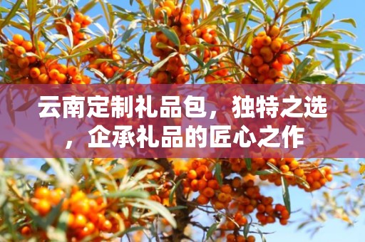云南定制礼品包，独特之选，企承礼品的匠心之作